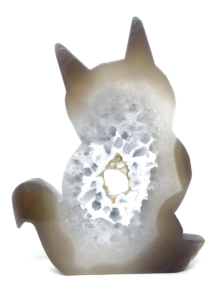 Agate Geode Cat #103 – Wicked Crystals and Things