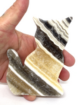 Zebra Calcite Cat #81 - 10.5cm