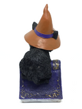 Witchy Cat on Book of Spells - 12cm