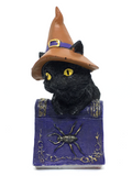 Witchy Cat on Book of Spells - 12cm