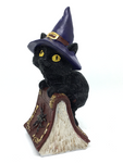 Witchy Cat on Book of Spells - 12cm