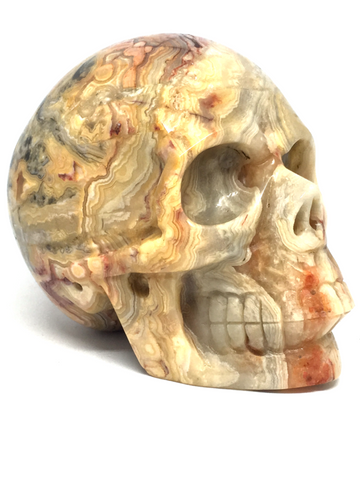 Crazy Lace Agate Skull #473