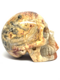 Crazy Lace Agate Skull #473