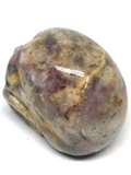 Crazy Lace Agate Skull #67