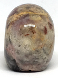 Crazy Lace Agate Skull #67