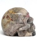 Crazy Lace Agate Skull #67