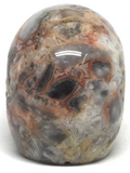Crazy Lace Agate Skull #58