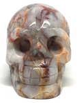 Crazy Lace Agate Skull #58