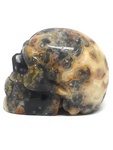 Crazy Lace Agate Skull #59