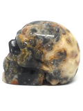 Crazy Lace Agate Skull #59
