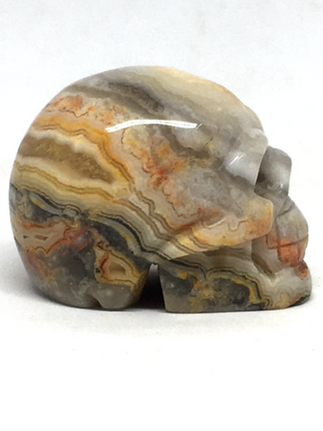 Crazy Lace Agate Skull #64