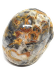 Crazy Lace Agate Skull #65