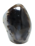 Dentritic Agate Free Form # 105