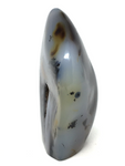 Dentritic Agate Free Form # 105