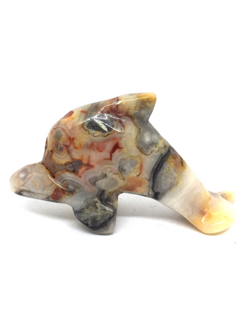 Crazy Lace Agate Dolphin #436