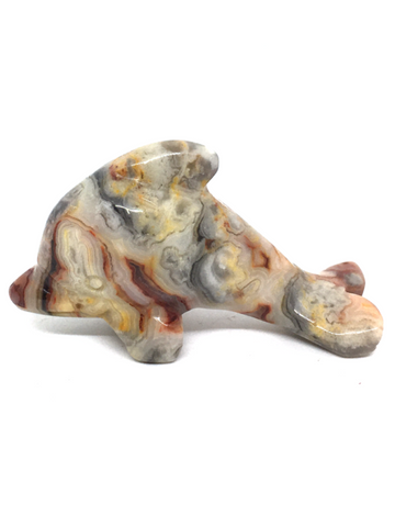 Crazy Lace Agate Dolphin #437