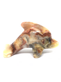 Crazy Lace Agate Dolphin #438