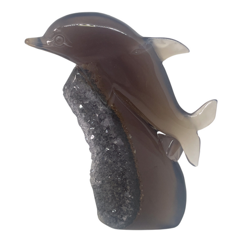 Agate Dolphin #82
