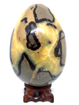 Septarian Egg #131- Large