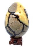 Septarian Egg #131- Large