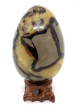 Septarian Egg #410 - 10cm