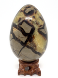 Septarian Egg #410 - 10cm