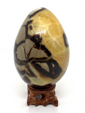 Septarian Egg #411 - 10.3cm