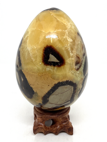Septarian Egg #411 - 10.3cm