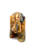 Crazy Lace Agate Elephant #147