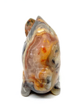 Crazy Lace Agate Fish #140