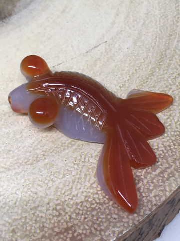 Goldfish #385