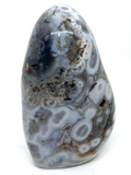 Bubble Ocean Jasper Free Form #321