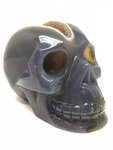 Agate Geode Skull #257