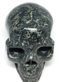 Kambaba Jasper Skull #486