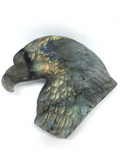 Labradorite Eagle Head Carving #254