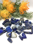 Lapis Lazuli Tumble Stones - 100g pkt