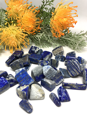 Lapis Lazuli Tumble Stones - 100g pkt