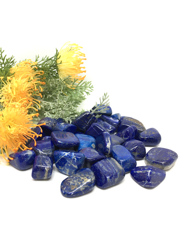 Lapis Lazuli Tumble Stones - Large