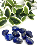 Lapis Lazuli Tumble Stones