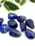 Lapis Lazuli Tumble Stones