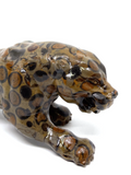 Leopard Jasper Leopard #190