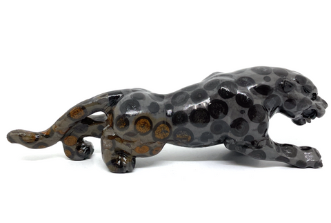 Leopard Jasper Leopard #191