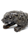 Leopard Jasper Leopard #192