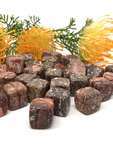 Leopard Skin Jasper Cubes