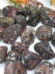 Leopard Skin Jasper Tumble Stones