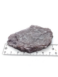 Lepidolite Mica Rough Slice #290