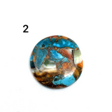 Copper Spiny Oyster Turquoise Cabochons - Lot #12