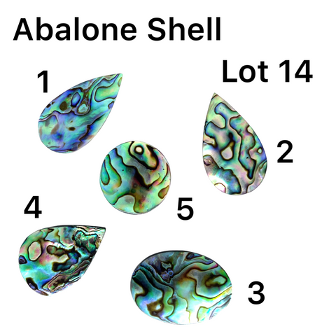 Abalone Shell Cabochons - Lot #14
