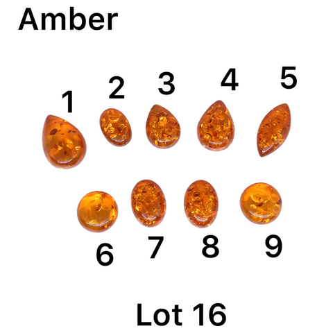 Amber Cabochons - Lot #16