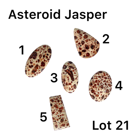 Asteroid Jasper  Cabochons - Lot #21